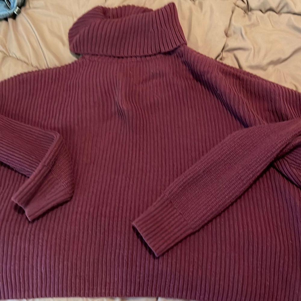Hollister turtleneck hoodie